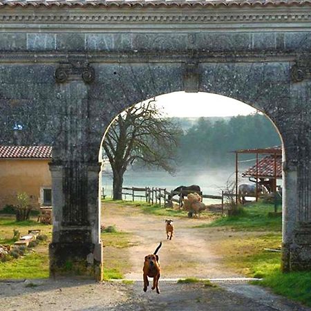 Domaine De Chantemerle B'Nb Marsac  Kültér fotó